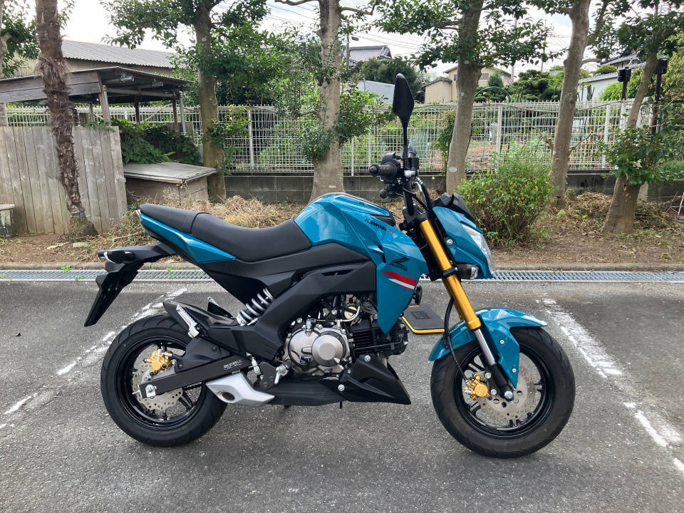Kawasaki Z125 PRO 2021
