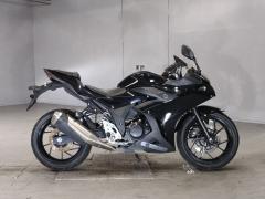 Suzuki GSX250R