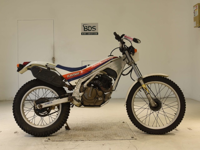 Honda TLR250R 1986