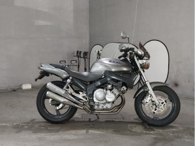 Yamaha ZEAL FZX250 1992