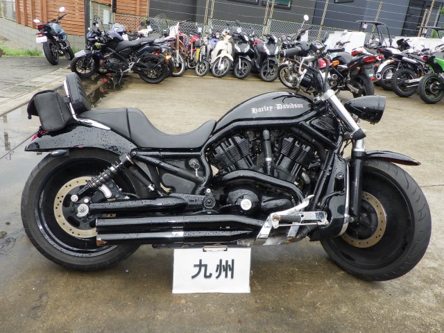HD V-ROD VRSCAW1130 2004