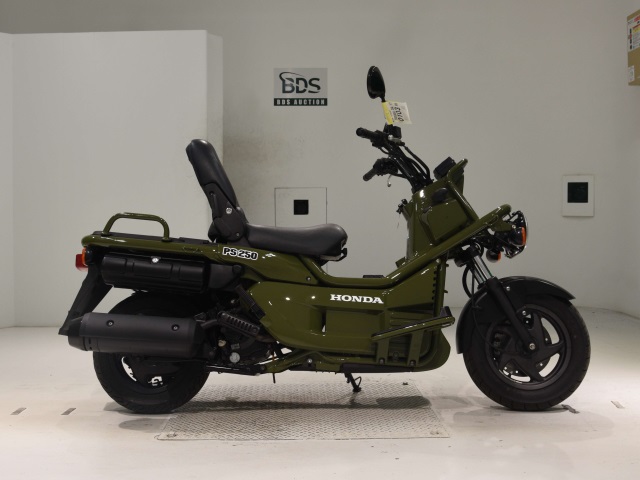 Honda PS250 BIG RUCKUS 2006