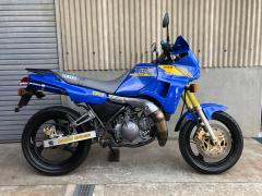 Yamaha TDR250 1988