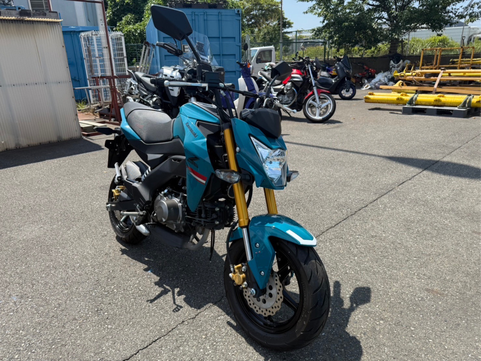 Kawasaki Z125 PRO 2021