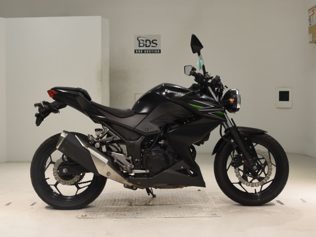 Kawasaki Z250 2013
