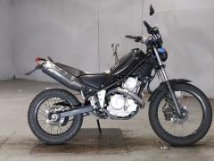 Yamaha TRICKER 2005