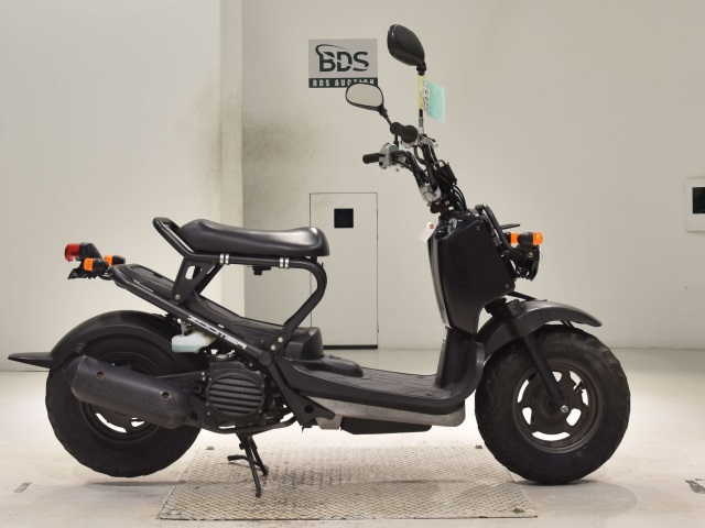 Honda ZOOMER 2009
