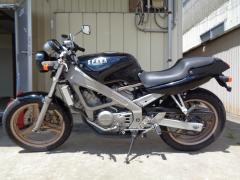 Honda VT250 SPADA 1988