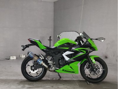 Kawasaki NINJA250 2015