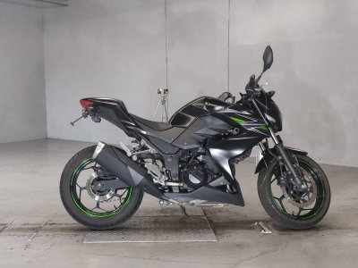 Kawasaki Z250 2013