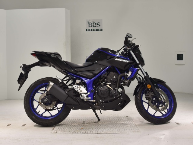 Yamaha MT-25 2018