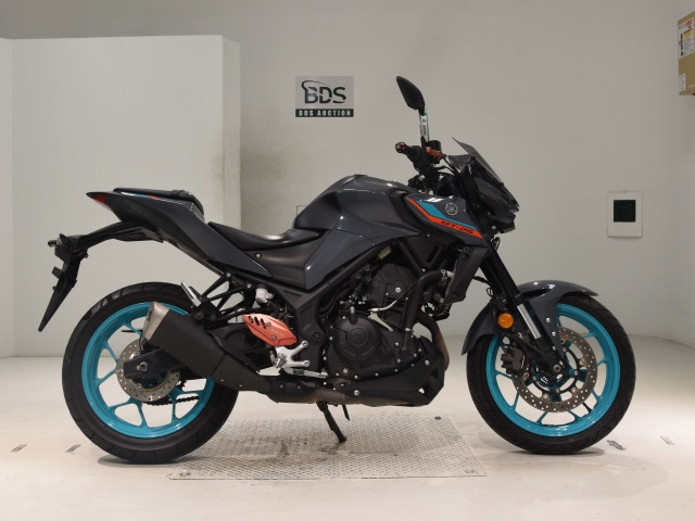 Yamaha MT-25 2022