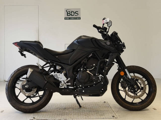Yamaha MT-25 2022