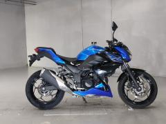 Kawasaki Z250 2015
