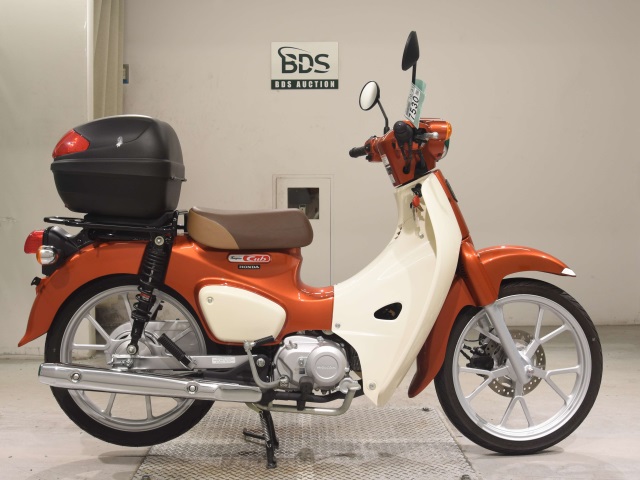 Honda C110-4 2022