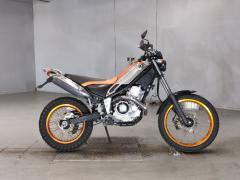 Yamaha TRICKER 2007