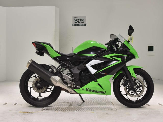 Kawasaki NINJA250 2015