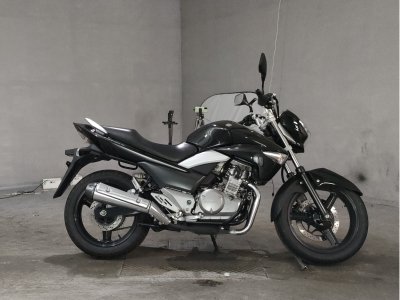 Suzuki GSR250