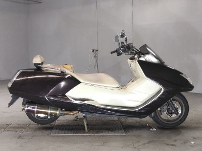 Yamaha MAGZAM 2007