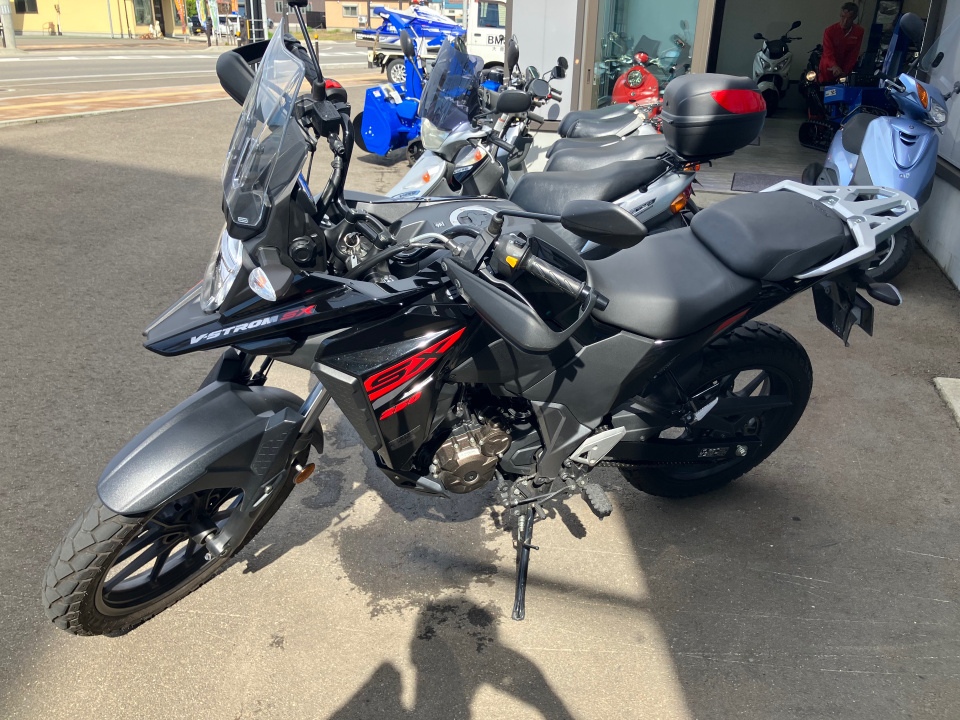 Suzuki V-STROM SX
