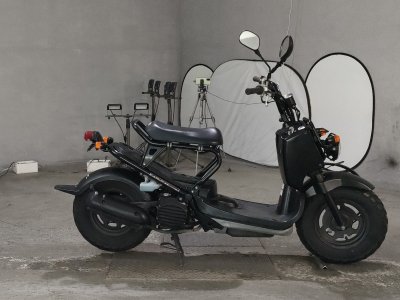 Honda ZOOMER 2007