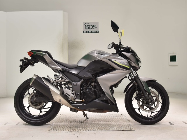 Kawasaki Z250A 2017