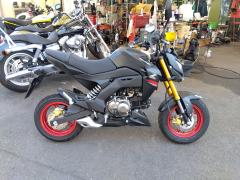 Kawasaki Z125 PRO 2021