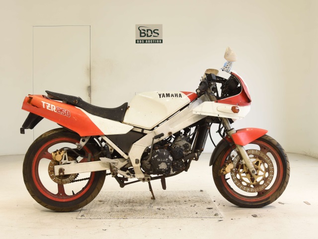 Yamaha TZR250