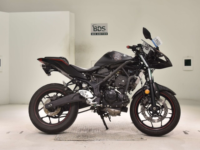 Yamaha YZF-R25 2017