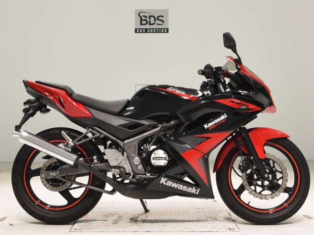 Kawasaki NINJA150RR 2014