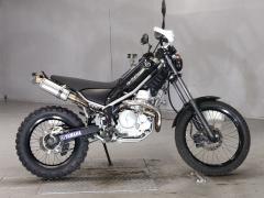 Yamaha TRICKER 2004