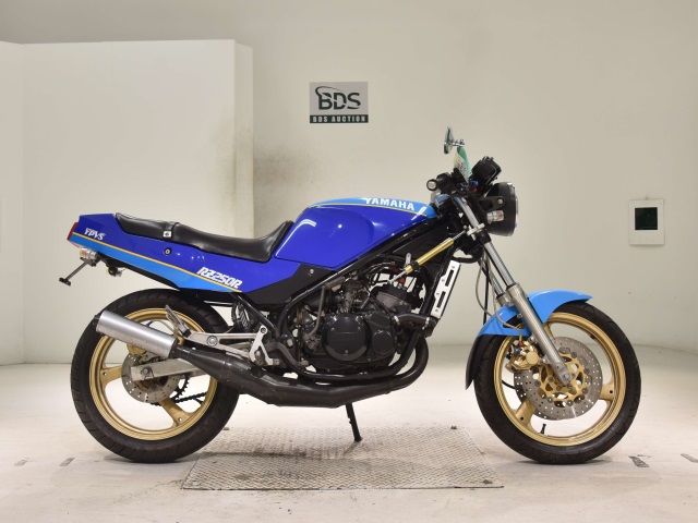 Yamaha RZ250R 1988