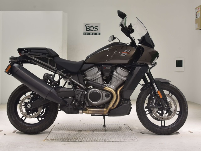 HD PAN AMERICA1250 2021