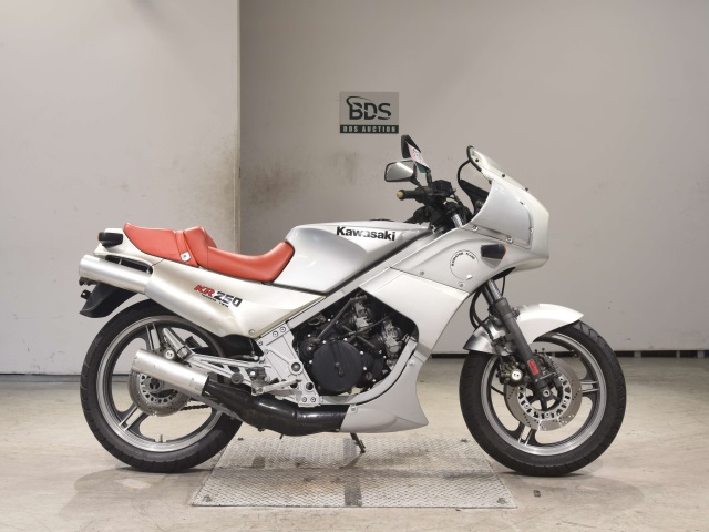 Kawasaki KR250