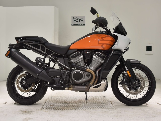 HD PAN AMERICA1250 S 2021