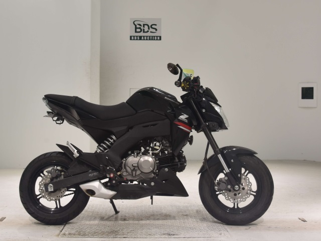 Kawasaki Z125 PRO 2019