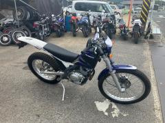 Yamaha SCORPA 2025
