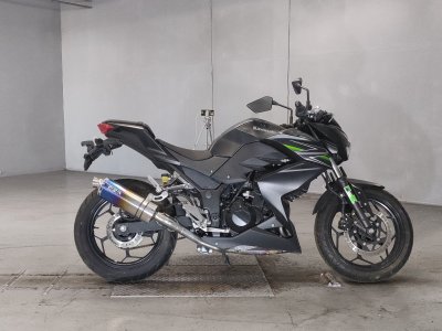 Kawasaki Z250 2013