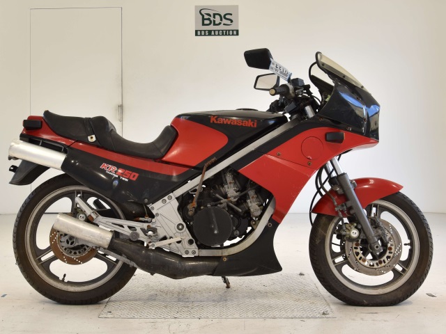 Kawasaki KR250 1984