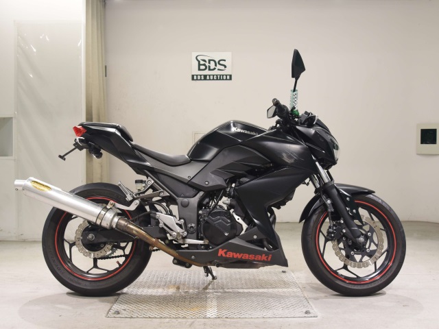 Kawasaki Z250 2013