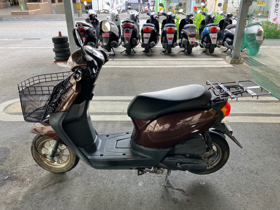 Honda TACT125 2018