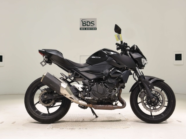 Kawasaki Z250 2019