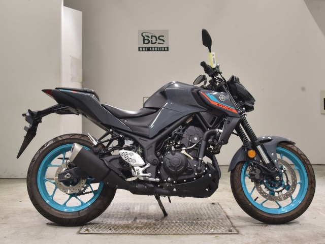 Yamaha MT-25 2022