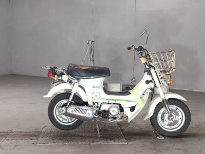 Honda CHALY50