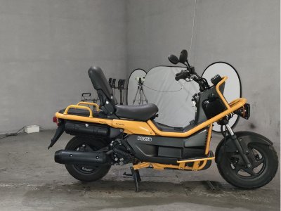Honda PS250 BIG RUCKUS 2004