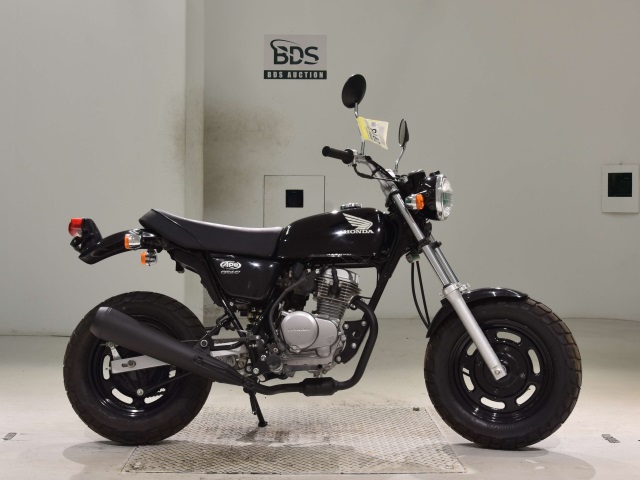 Honda APE50 2008