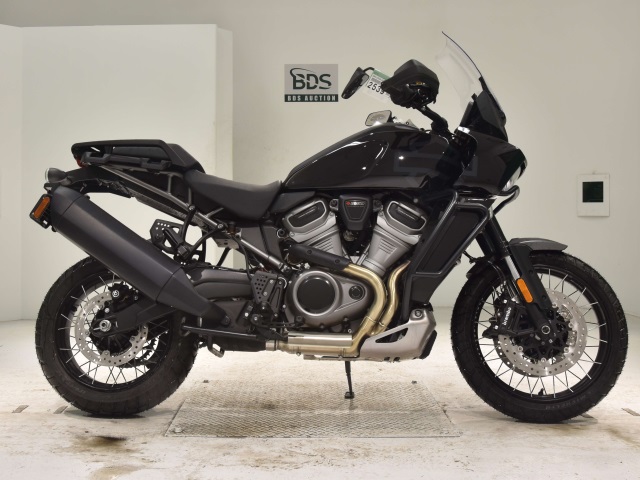 HD PAN AMERICA1250 S 2024