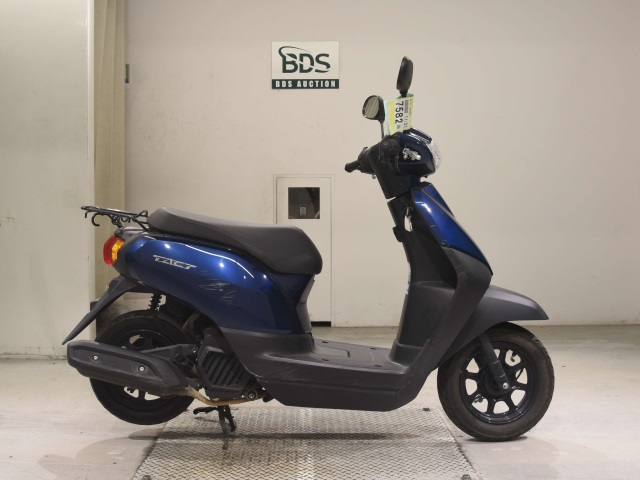 Honda TACT50 2024