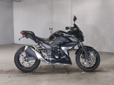 Kawasaki Z250 2016