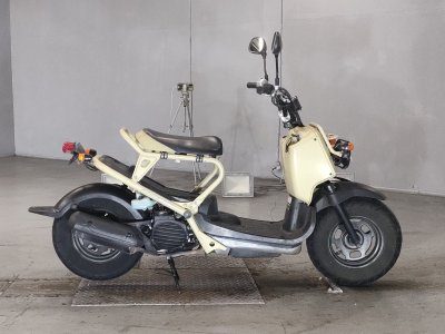 Honda ZOOMER 2009